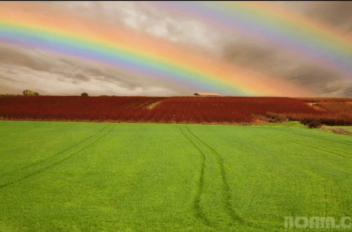 israels-rainbow