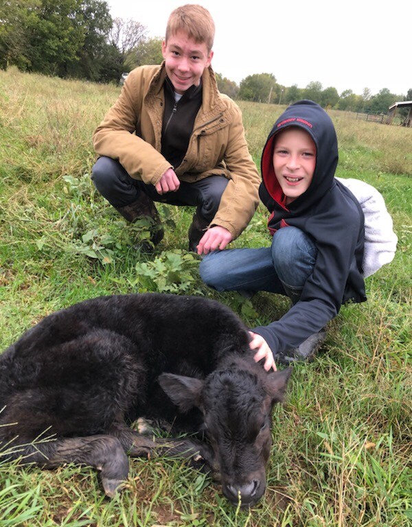 Calf born on Parshah He Appeared. He disappears for 48 hours then He Appears.